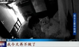 爆料保姆打老人视频播放,视频曝光引发社会关注